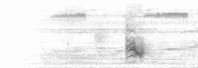 Окулярник малокейський - ML613529591
