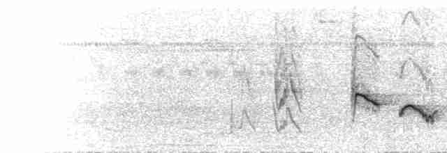 Zostérops de Petite Kai - ML613529593