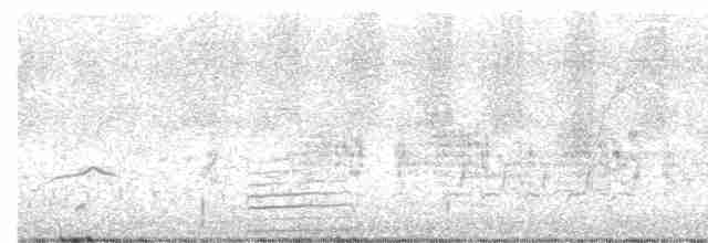 Spotless Crake - ML613531162