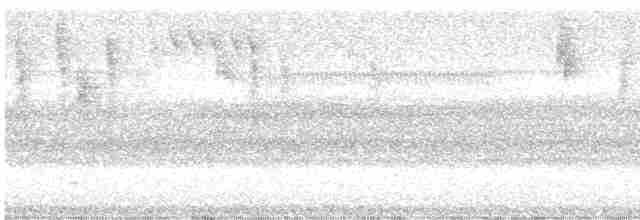 Батіжник чорночубий - ML613533371