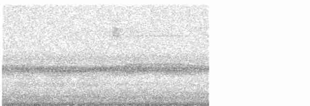Blackpoll Warbler - ML613533617