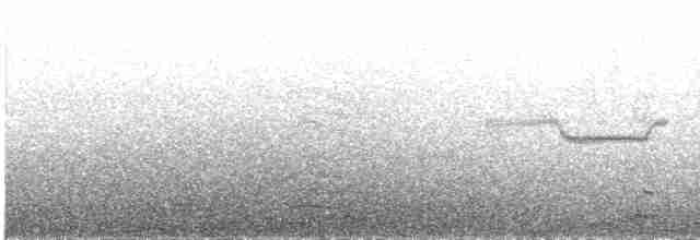 Band-winged Nightjar - ML613534296