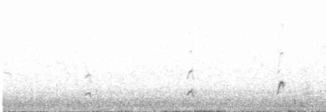 Андская лысуха - ML613534504