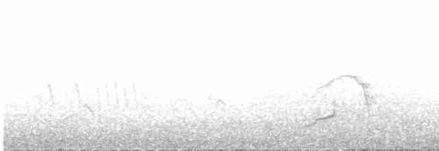 Андская лысуха - ML613534505