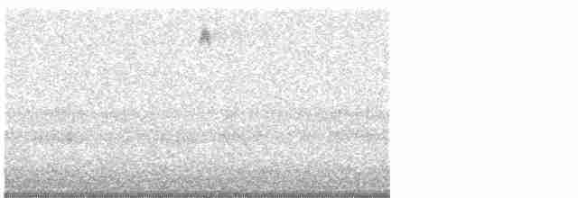 Yellow-rumped Warbler - ML613535217