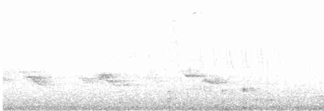 Pasifik Çıtkuşu - ML613535316