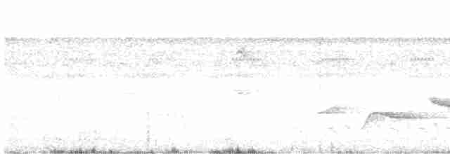 Nava Çıtkuşu - ML613535369