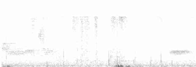 Troglodyte barré - ML613535835