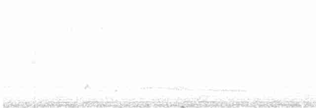 Kuzeyli Bükük Gagalı Tiran - ML613536167