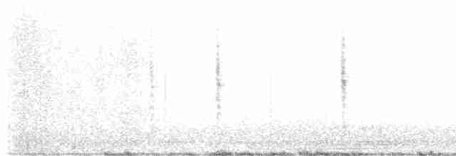 Troglodyte des marais - ML613537253