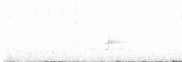 Пересмішник білочеревий - ML613539767