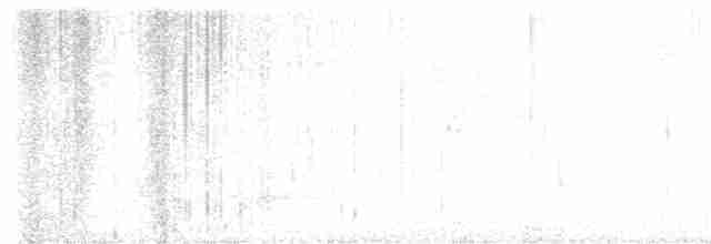 Clorofonia Coroniazul - ML613540512