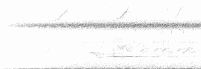 Cinereous Tinamou - ML613541858