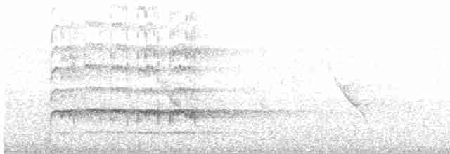 Дзьобак чорногузий - ML613544213