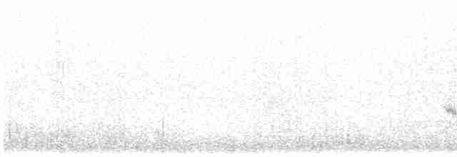 rehek bělokřídlý - ML613546212