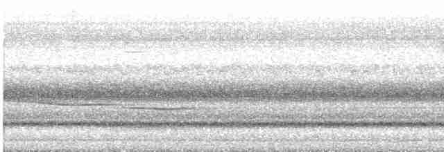 Russet-tailed Thrush - ML613546423