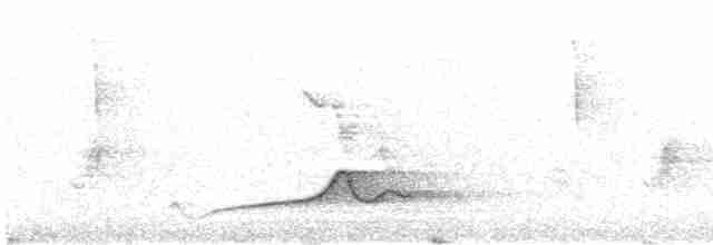 Чагарниця плямистоплеча - ML613546873