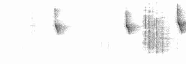 medozvěstka himálajská - ML613547730