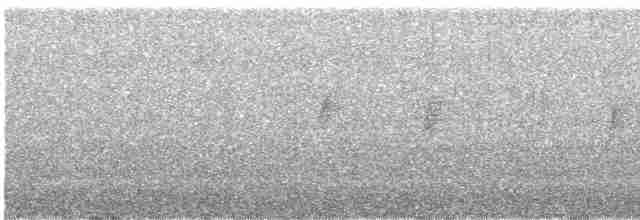 Mirlo Acuático Pardo - ML613549362