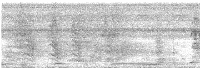 holub neotropický - ML613549436
