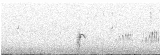 Ornate Tinamou - ML613549907