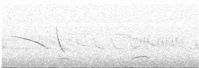 Красноспинная агуйя - ML613550035