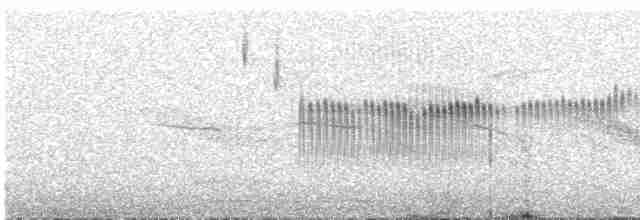 Светлокрылая трясохвостка - ML613550037