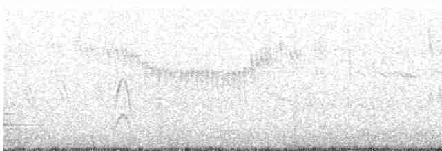 Светлокрылая трясохвостка - ML613550038