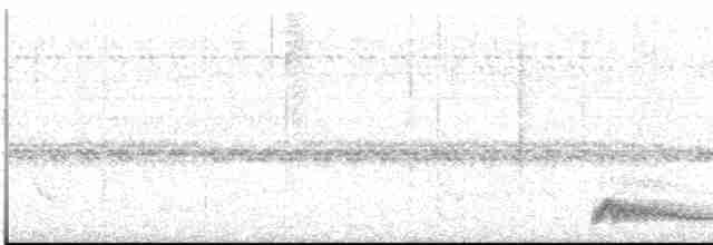 Augennachtschwalbe - ML613551099