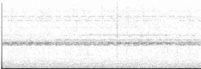 Augennachtschwalbe - ML613551100