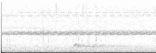 Augennachtschwalbe - ML613551101