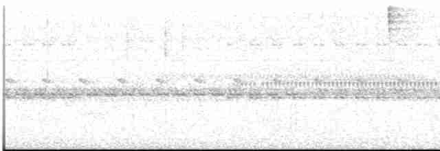 Глазчатый козодой - ML613551102