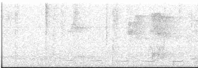 Spotted Bamboowren - ML613551205