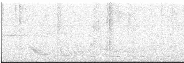Spotted Bamboowren - ML613551206