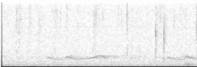 Silky-tailed Nightjar - ML613551221