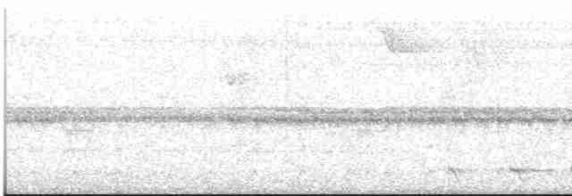 オジロキヌバネドリ（surrucura） - ML613551477