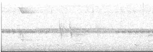 Surukua Trogonu (surrucura) - ML613551478