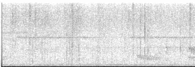 Atlantik Kara Gerdanlı Trogonu - ML613551568