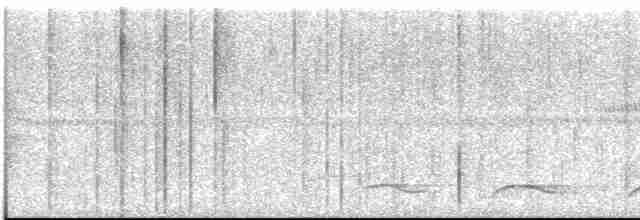 Atlantik Kara Gerdanlı Trogonu - ML613551570
