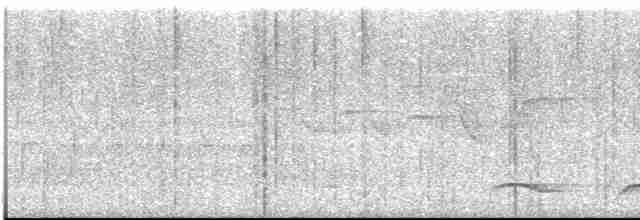 Atlantik Kara Gerdanlı Trogonu - ML613551571