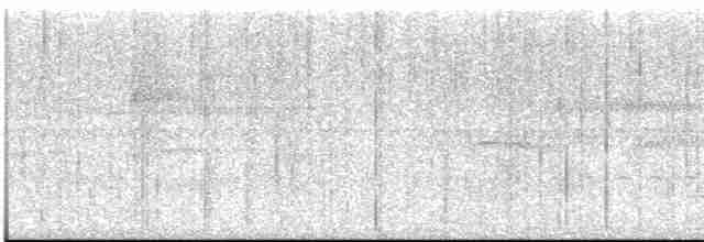 Скрытохвост татаупа - ML613551576