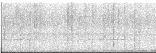 Boyalı Yerçavuşu - ML613551721
