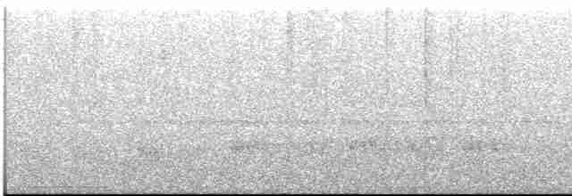 Тиран-інка буроголовий - ML613551782