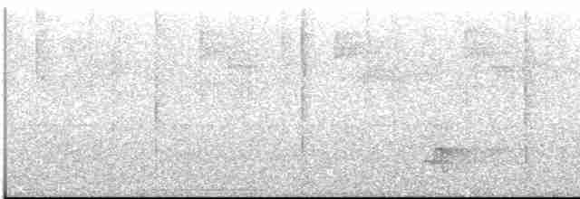 Swallow-tailed Manakin - ML613551784
