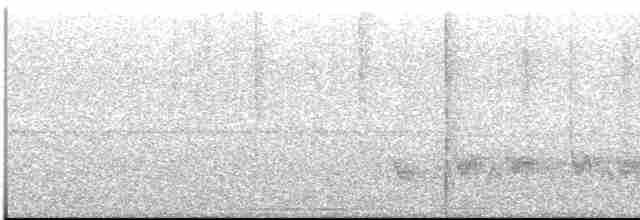Swallow-tailed Manakin - ML613551785