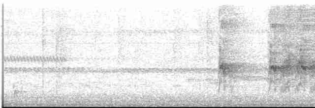 Дзьоган смугастокрилий - ML613551887