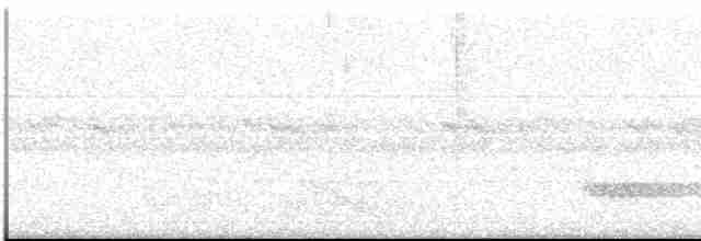 Скрытохвост татаупа - ML613552152