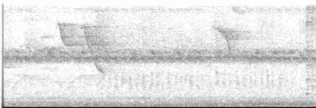 Тиран-інка буроголовий - ML613552292