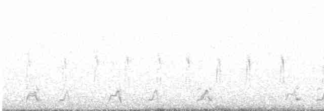 Çizgili Gerdanlı Sepetören - ML613552708