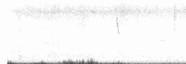 Bluish-gray Saltator - ML613552927
